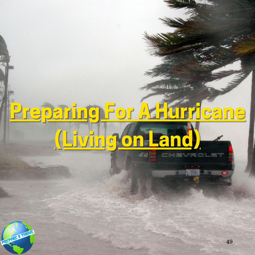Preparing For A Hurricane (Living on Land)