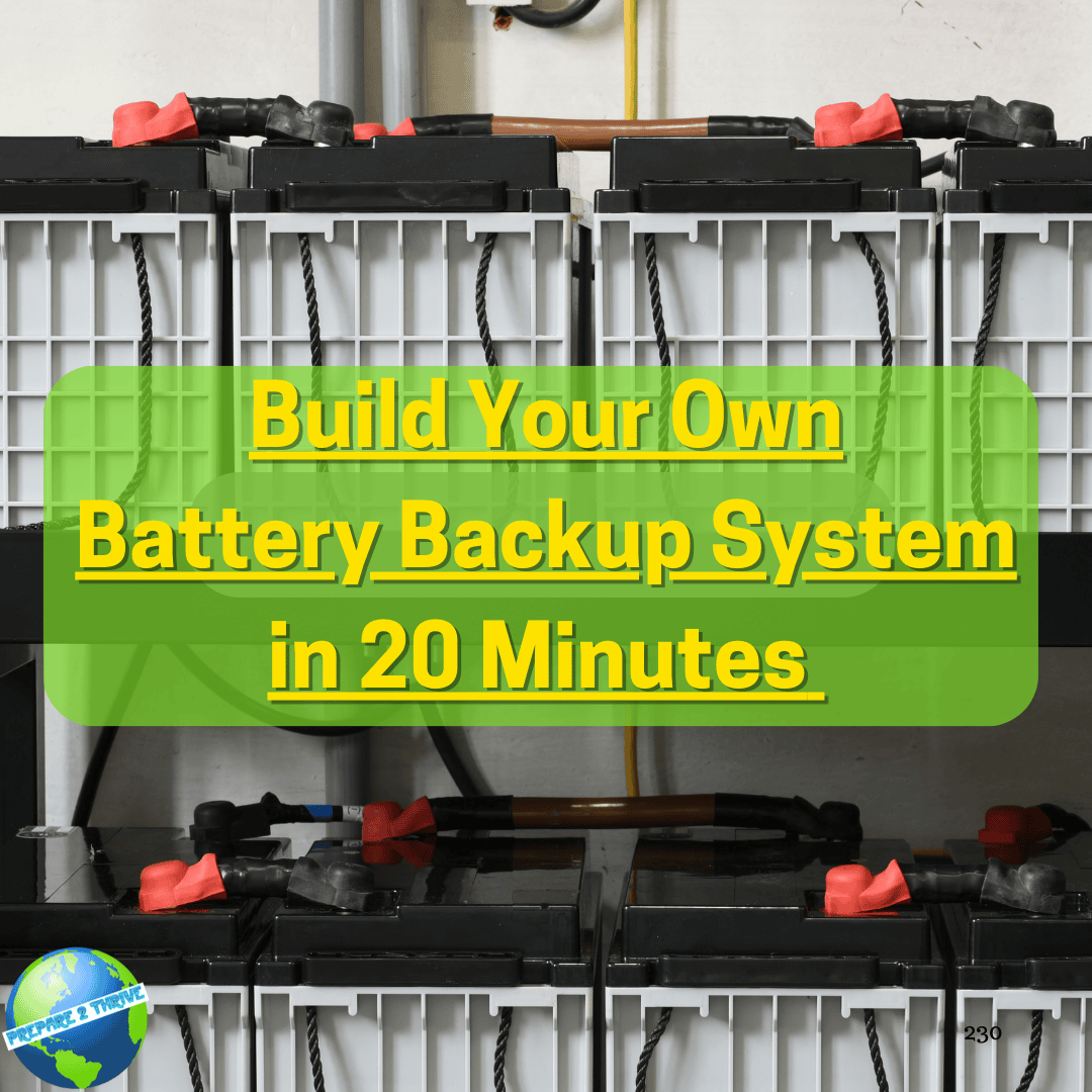 Build Your Own Battery Backup System in 20 Minutes